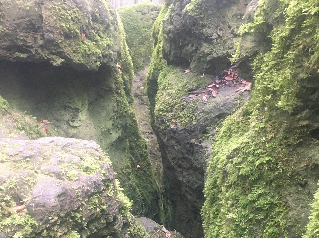 Druidenhaine景点图片