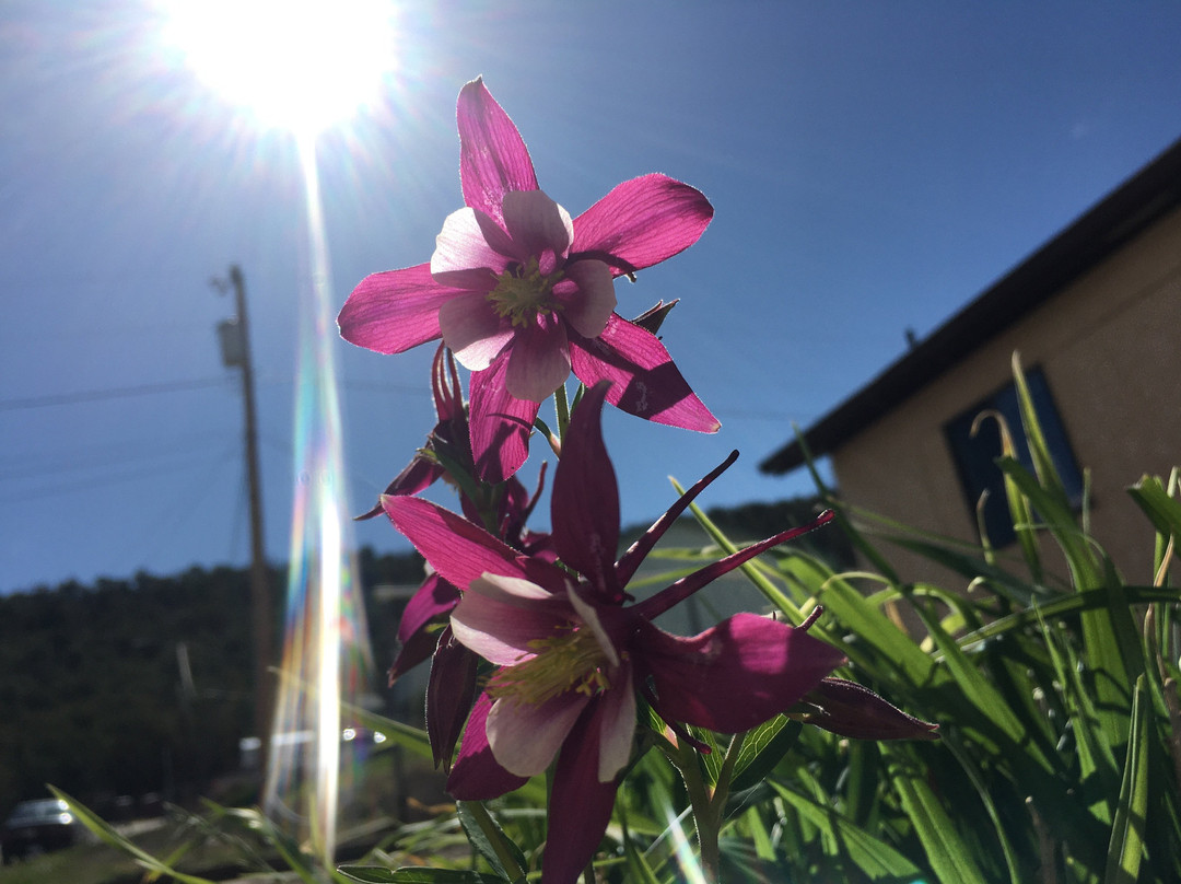 La Quinta Inn & Suites by Wyndham Enid主图