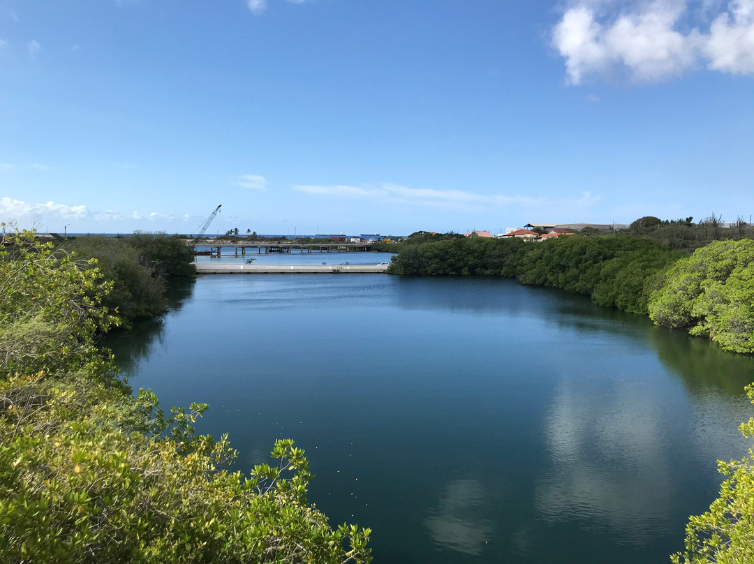 Aruba Kayak Adventure-Pos Chiquito必去景点
