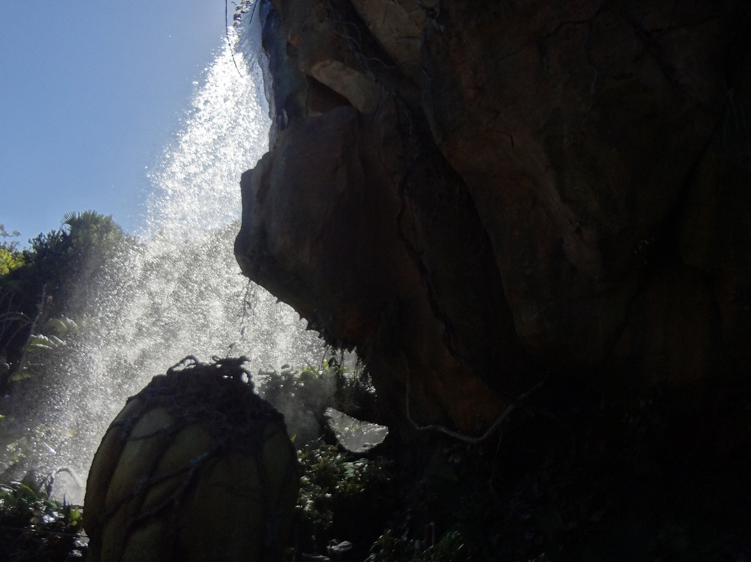 Avatar Flight of Passage-Lake Buena Vista必去景点