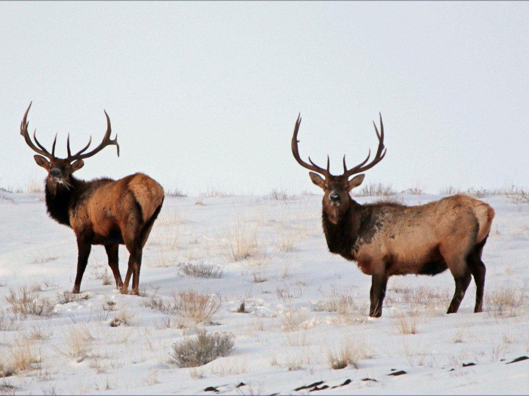 Ruggs Ranch Hunting Preserve-Heppner必去景点