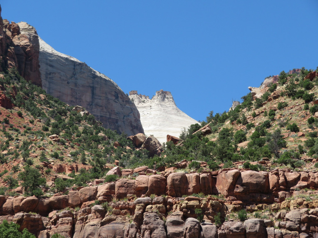 Zion Human History Museum-斯普林代尔必去景点