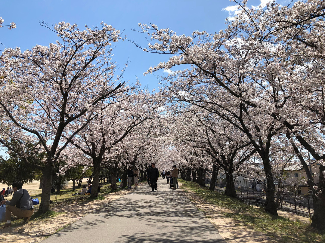 Sumiyoshi Embankment-廿日市市必去景点