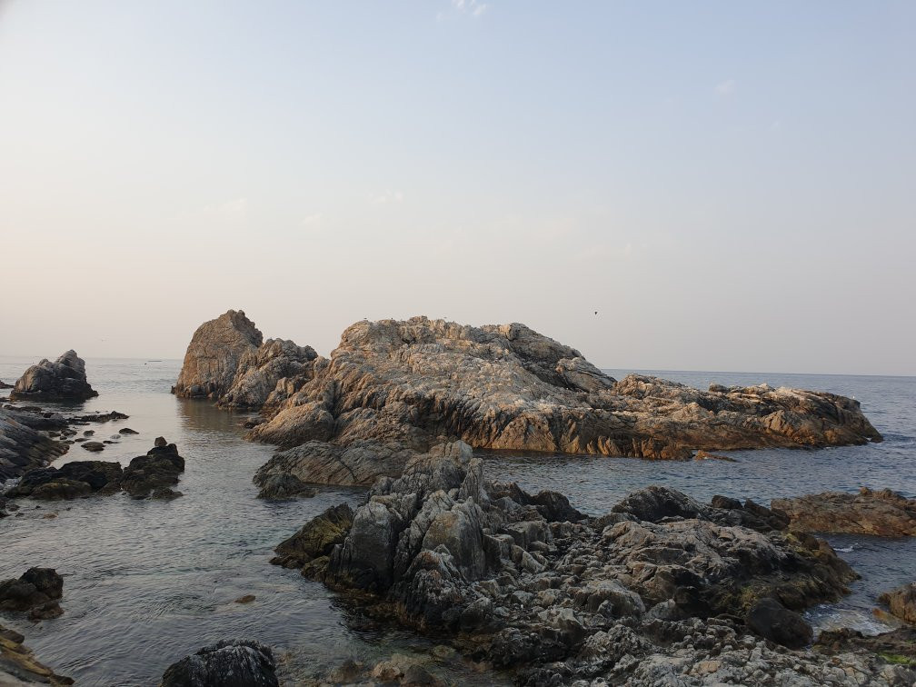 Jangho Port-三陟市必去景点