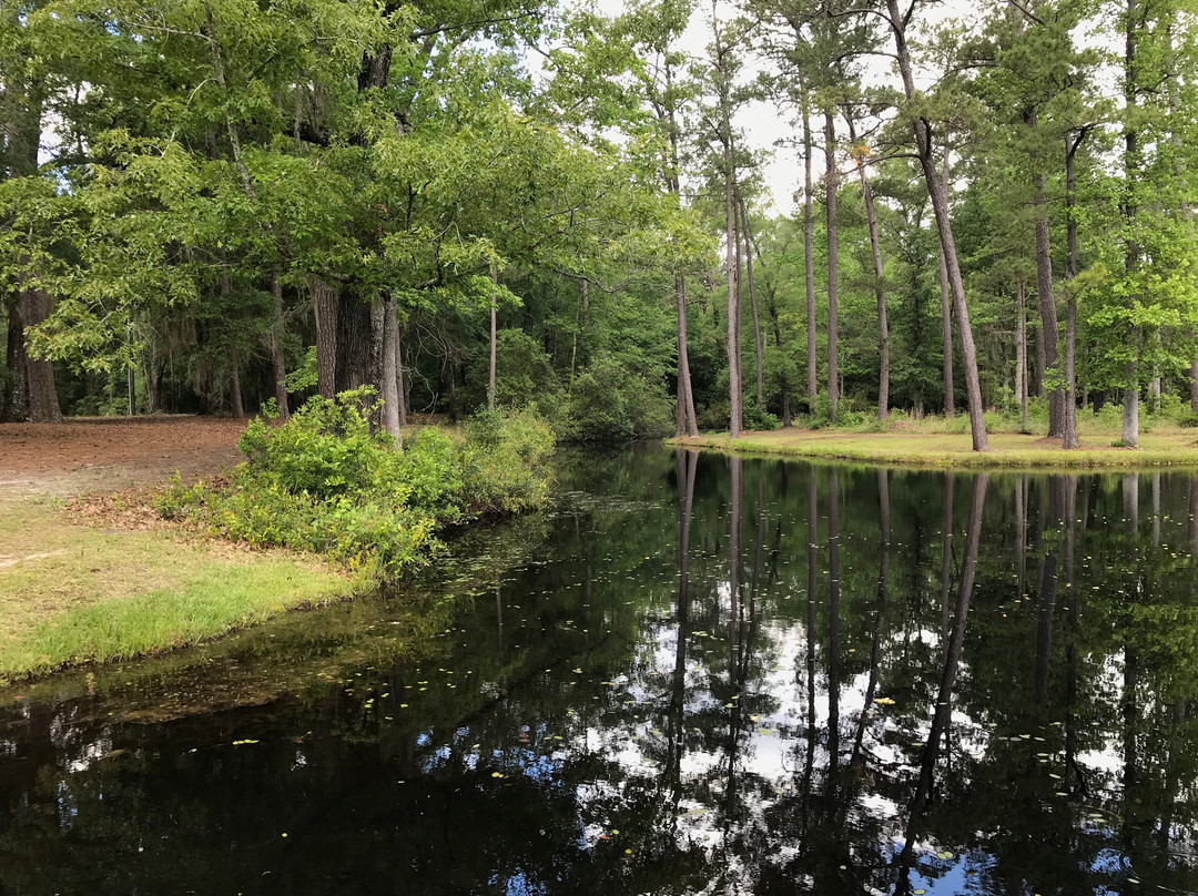 Lee State Park-Bishopville必去景点