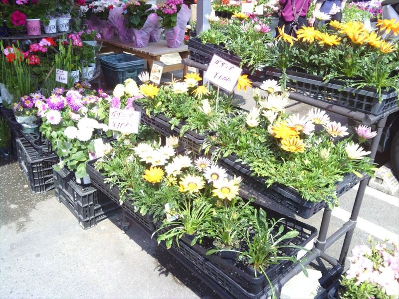 Nankan Iki Iki Village-南关町必去景点