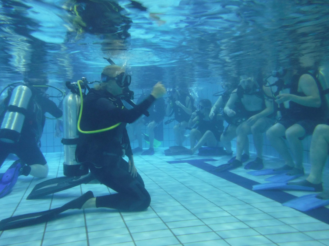 La Scubatheque-魁北克市必去景点