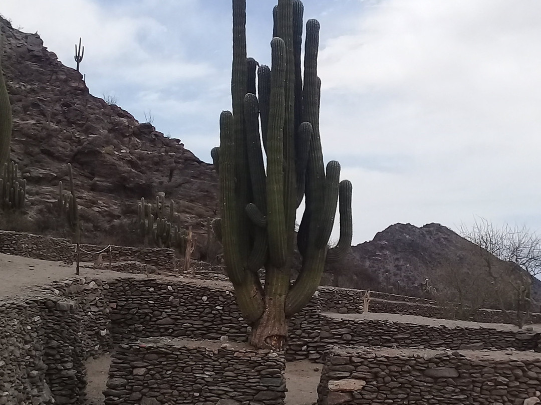 Ruinas De Quilmes-Quilmes必去景点