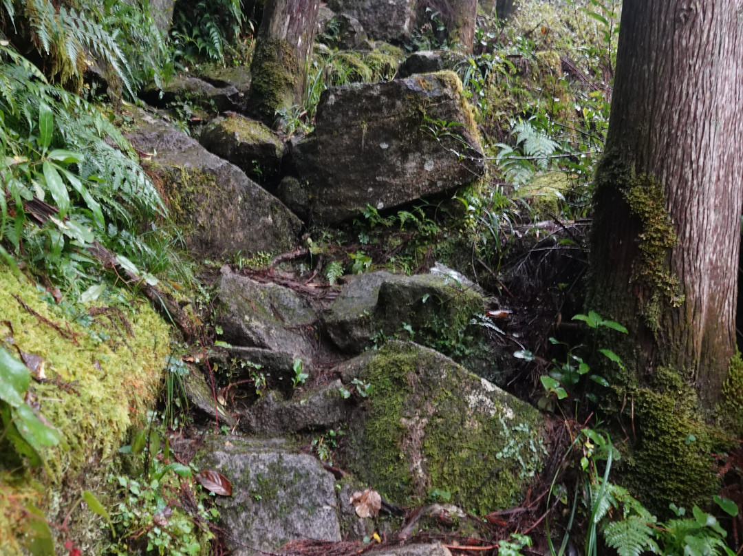 Kuwanoki Falls-新宫市必去景点