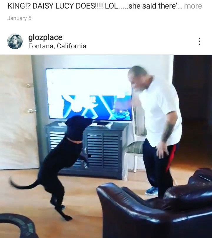 Apollo Motor Inn主图