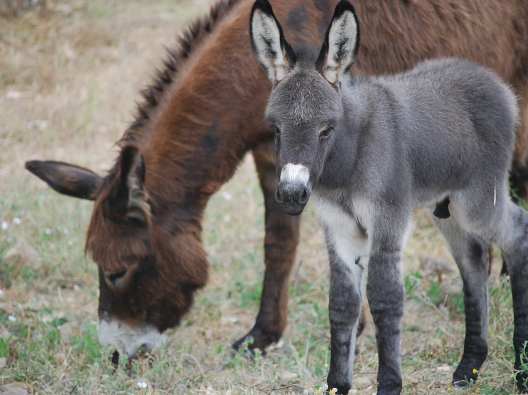 B&B Casa El Algarrobo主图