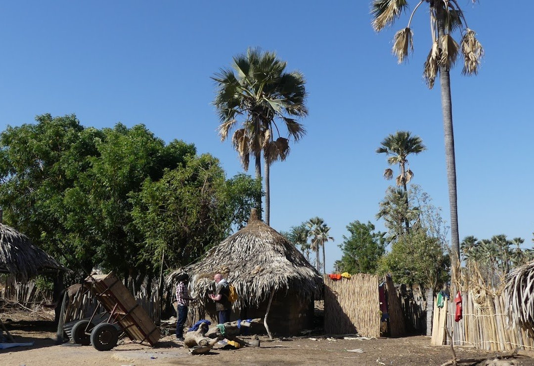 Royal Baobab Excursions景点图片