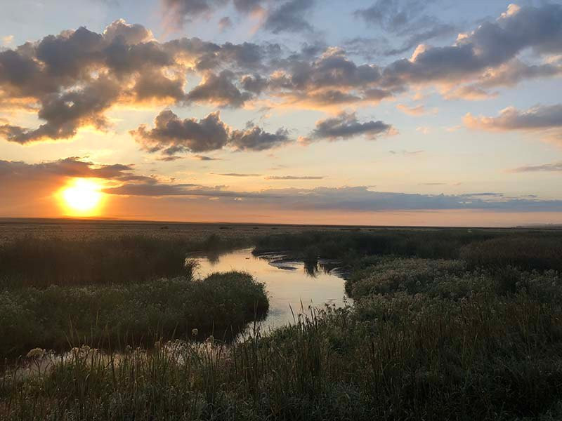 Widmer's Cheese Cellars-Theresa必去景点