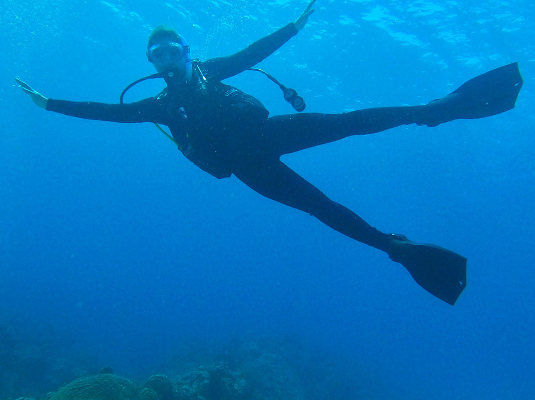 Mermaid Island Diving景点图片