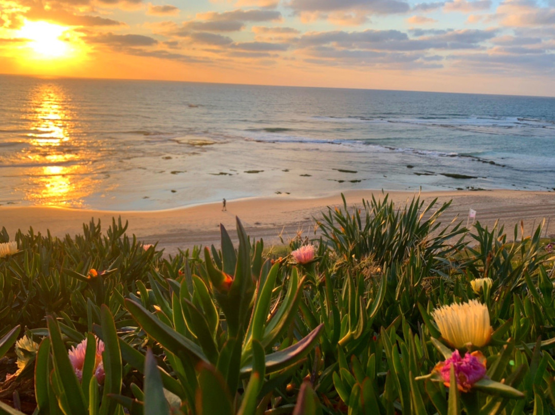 Bat Yam Boardwalk-Tayelet-Bat Yam必去景点
