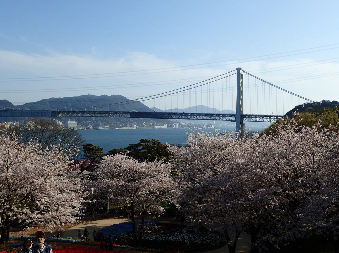 Hinoyama Park Turkey Tulip Garden-下关市必去景点