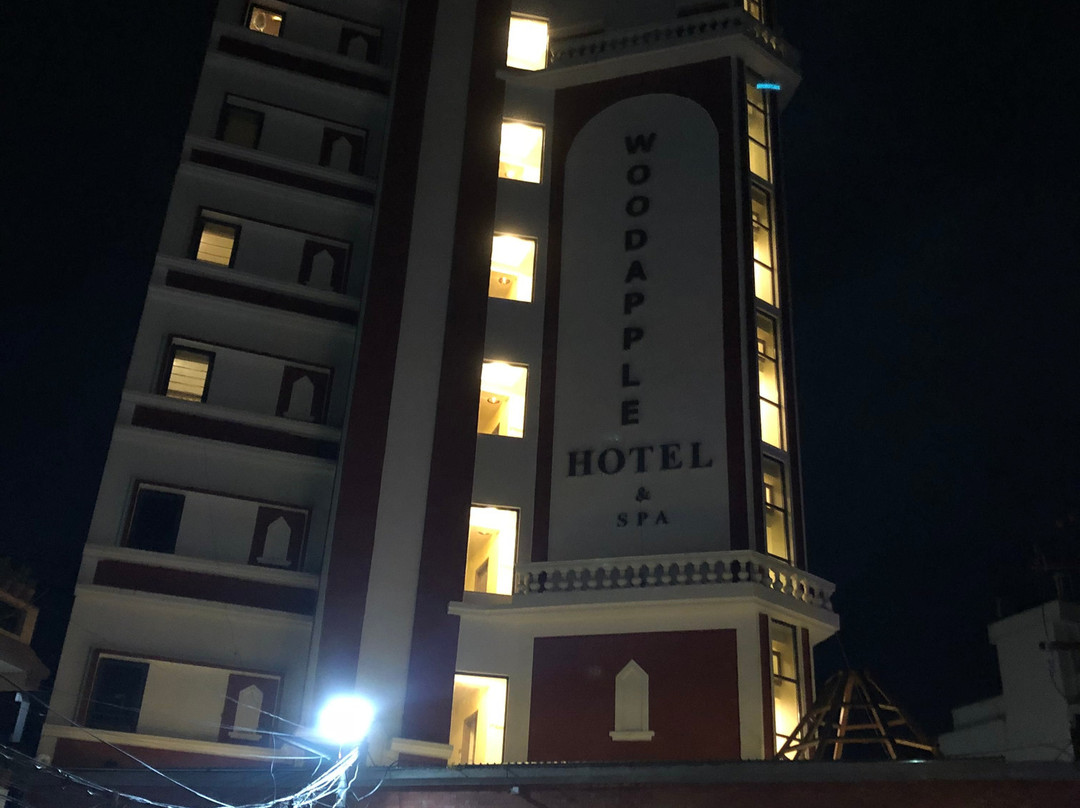 Woodapple Hotel and Spa主图