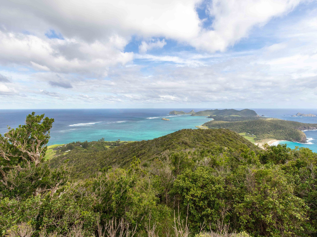 Lord Howe Island Walking Trails-豪勋爵群岛必去景点