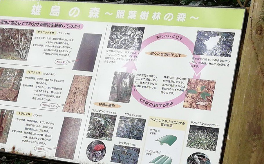Oshima Island景点图片