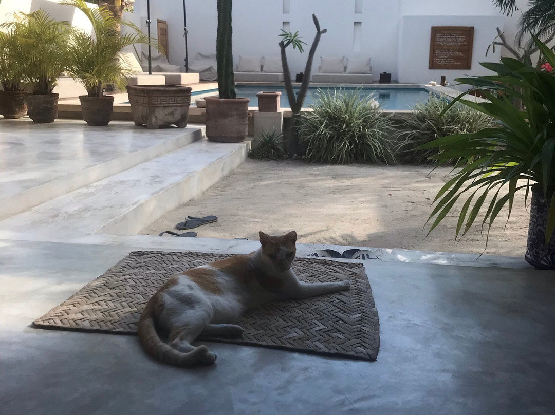 Tierra del Mar Hotel主图