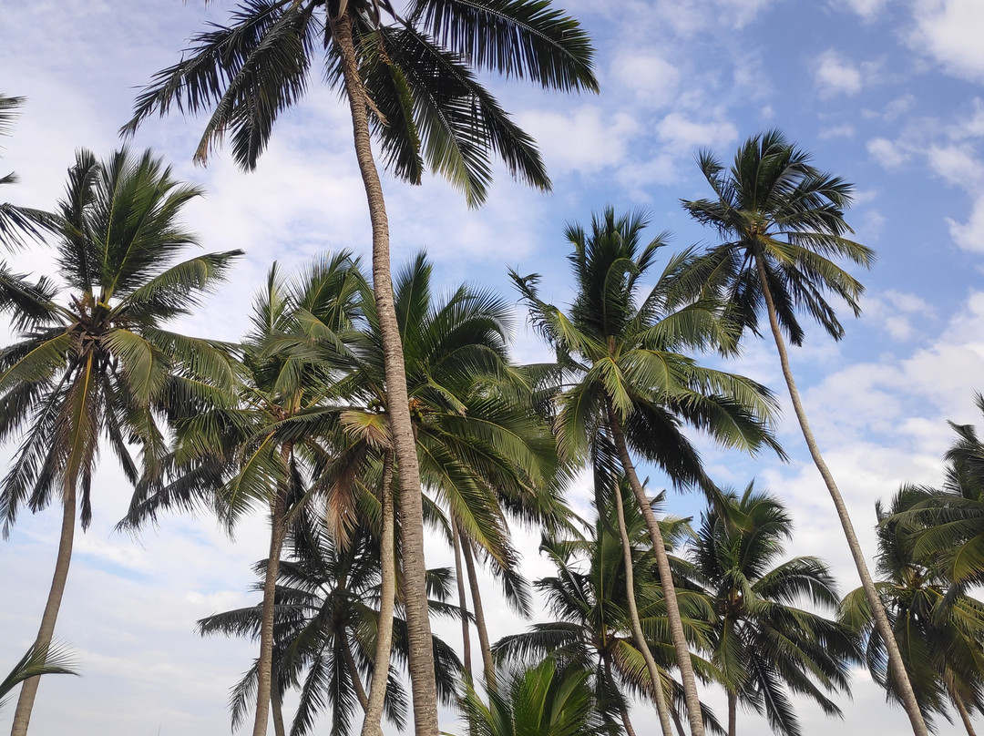 Akurala Beach Boutique Resort主图