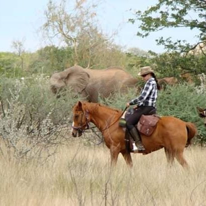 Wendelstein Farmstay & Horse Trails主图