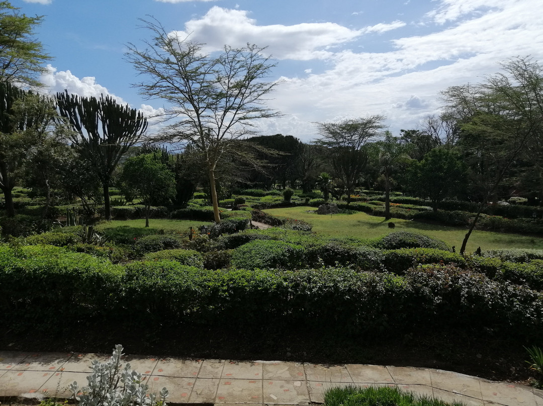 Jacaranda Lake Elementeita Lodge主图