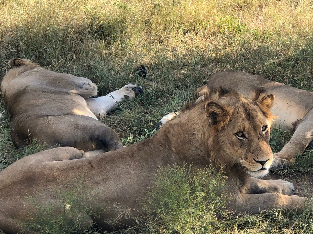 Klaserie Dam-Klaserie Private Game Reserve必去景点