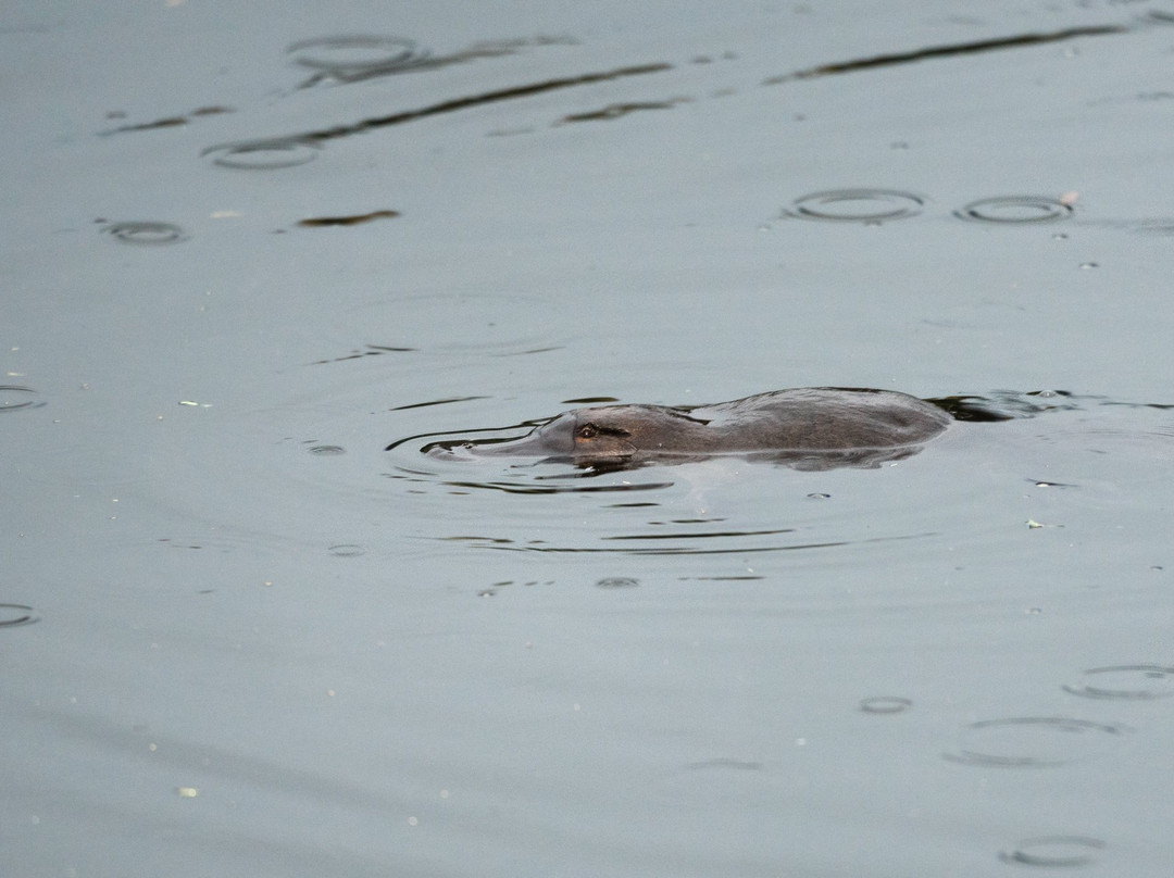 Cycles at The Empire主图