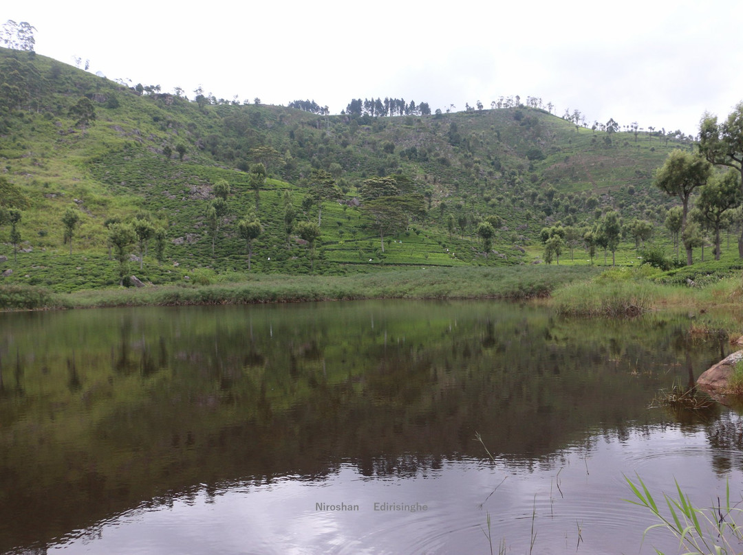Lake Richmond-哈普特莱必去景点