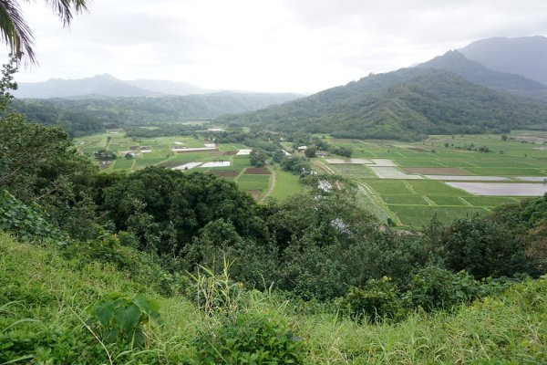 Hanalei Valley Lookout-普林斯维尔必去景点