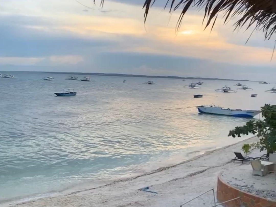 Fun & Sun Dive Travel景点图片