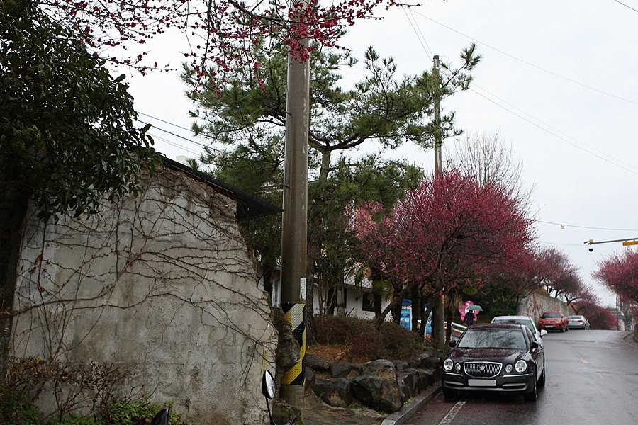 Maegokdong Tammae Village