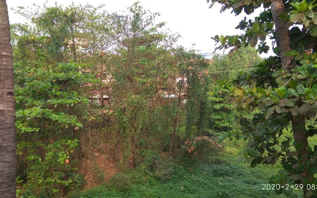 Mapusa Residency主图