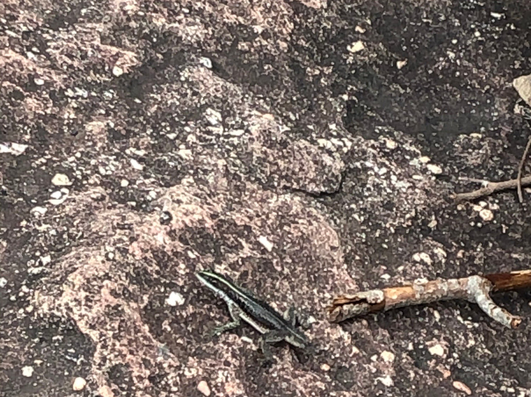 Ribeirao do Meio-雷恩克斯必去景点