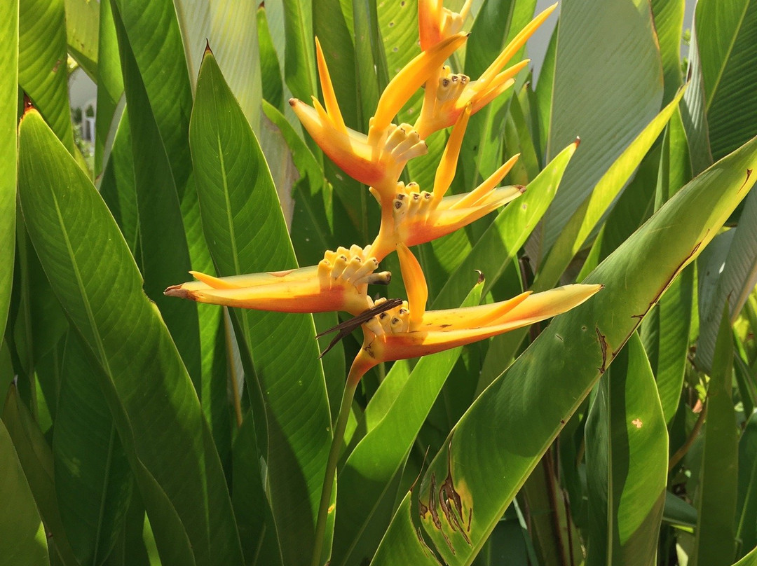 Meet Boutique Resort主图