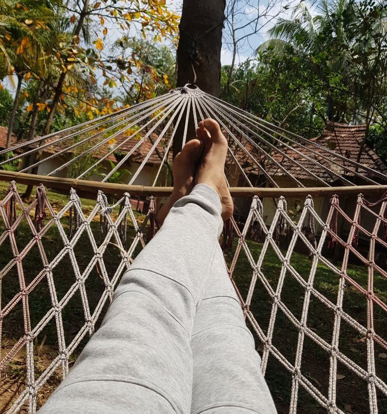 The Bohemian Masala主图