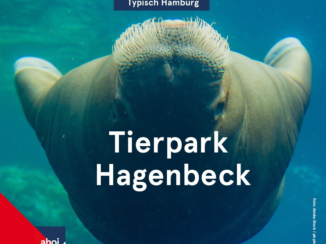 Tierpark Hagenbeck景点图片