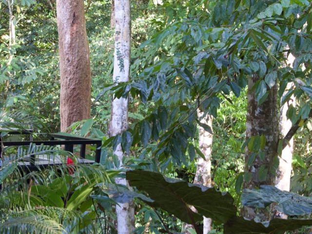 Yaba Chigui Lodge主图