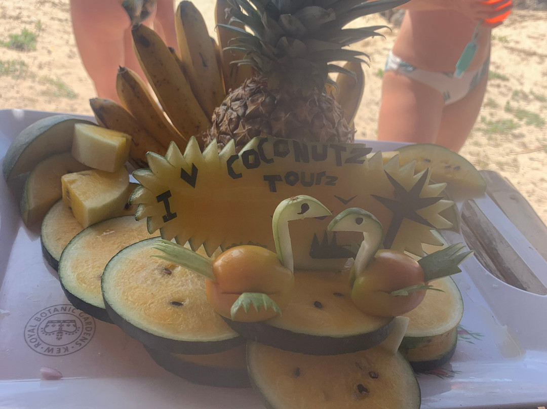Coconutz Tours景点图片
