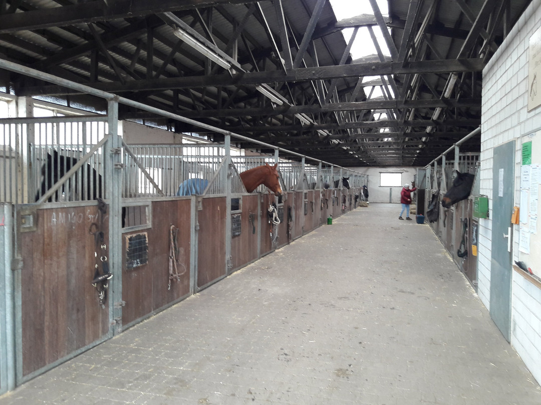 Landgasthof Jüterbog主图