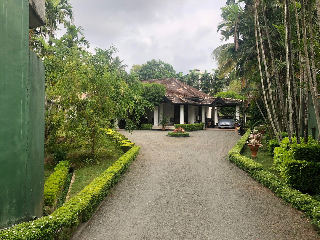 Camellia Dwelling主图