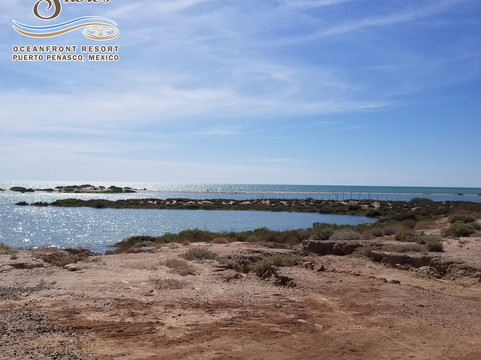 Laguna Shores Resort主图