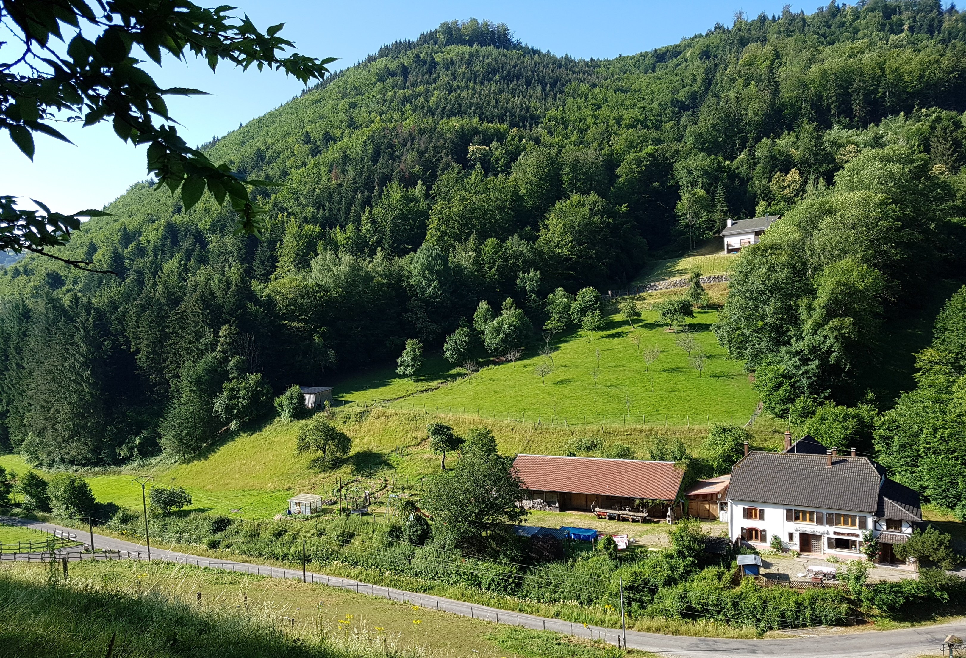 Gîte Le Creux Chêne-官方