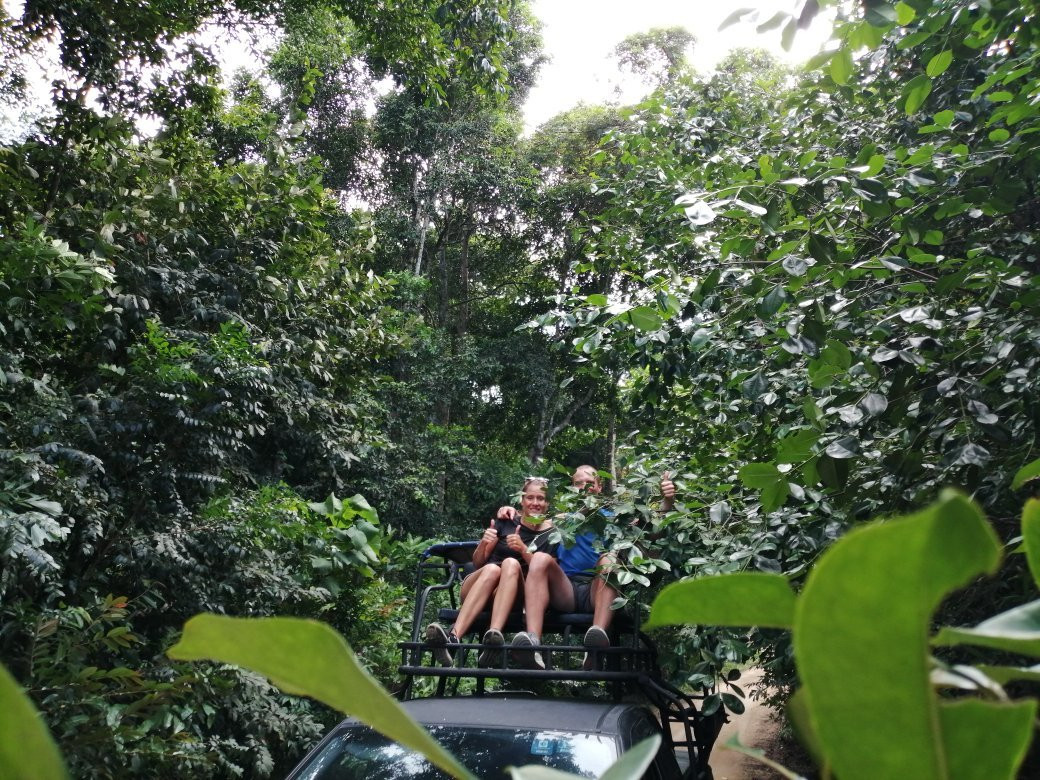 Phangan Jungle景点图片