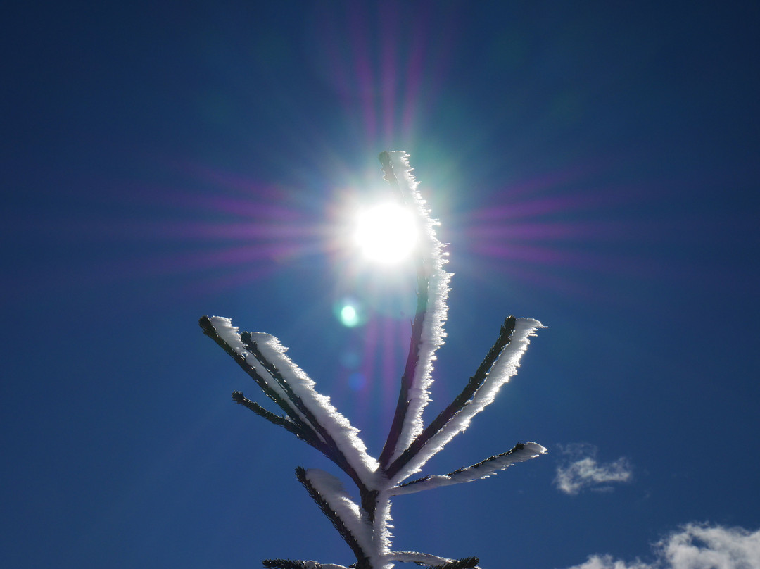 Berghotel Zum Zirm主图