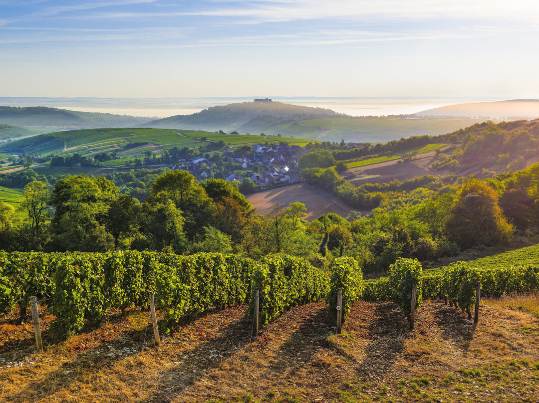 Office de Tourisme du Grand Sancerrois景点图片