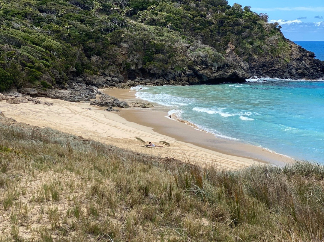 Blinky Beach-豪勋爵群岛必去景点