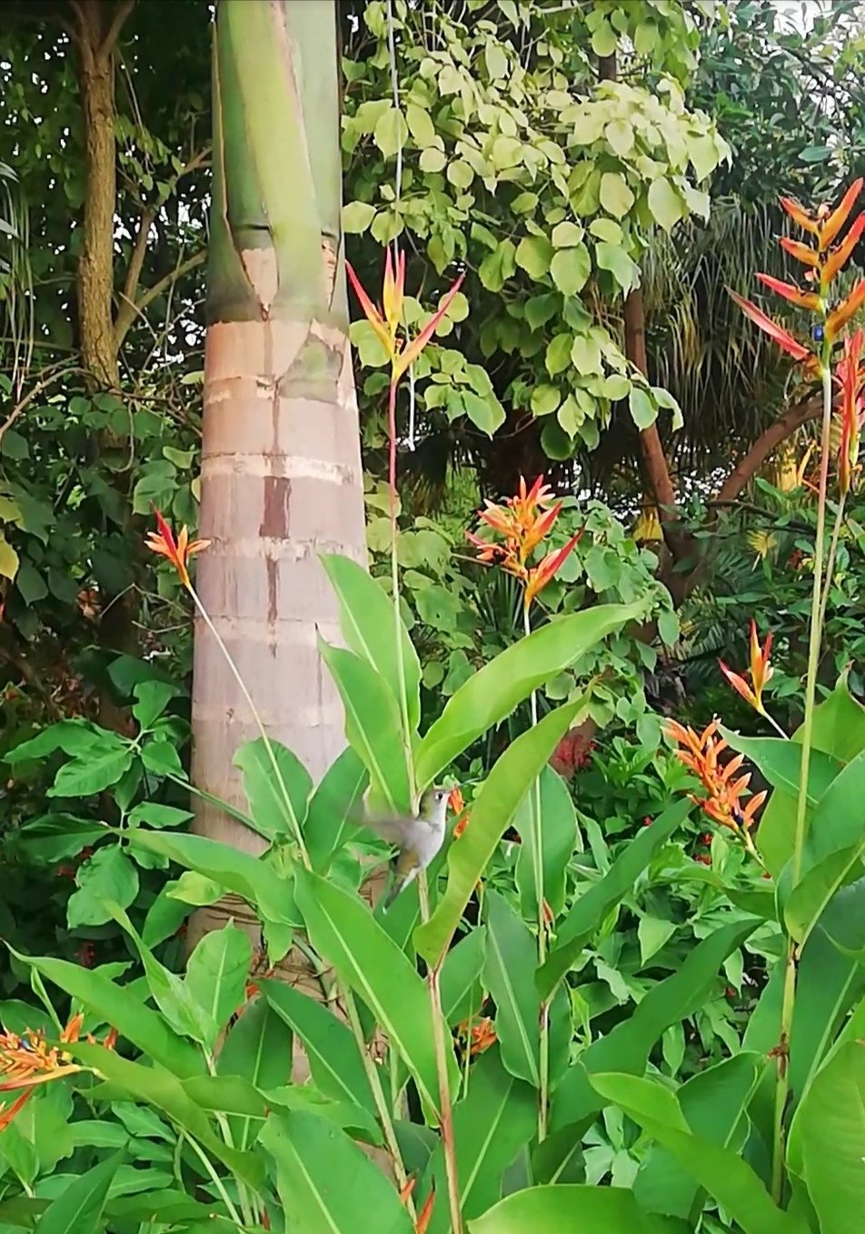 Hosteria El Jardin Colonial-官方