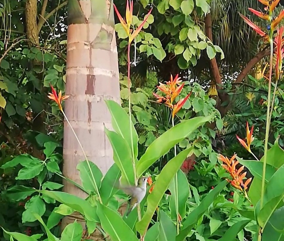 Hosteria El Jardin Colonial主图